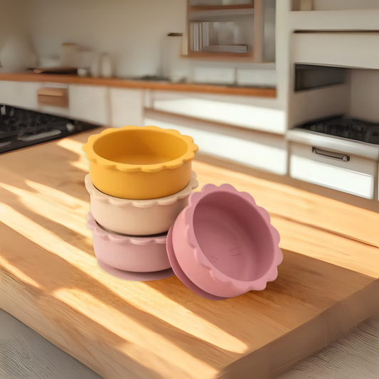 Lot de 2 Bols en Silicone à Ventouse