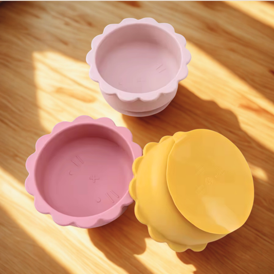Lot de 2 Bols en Silicone à Ventouse