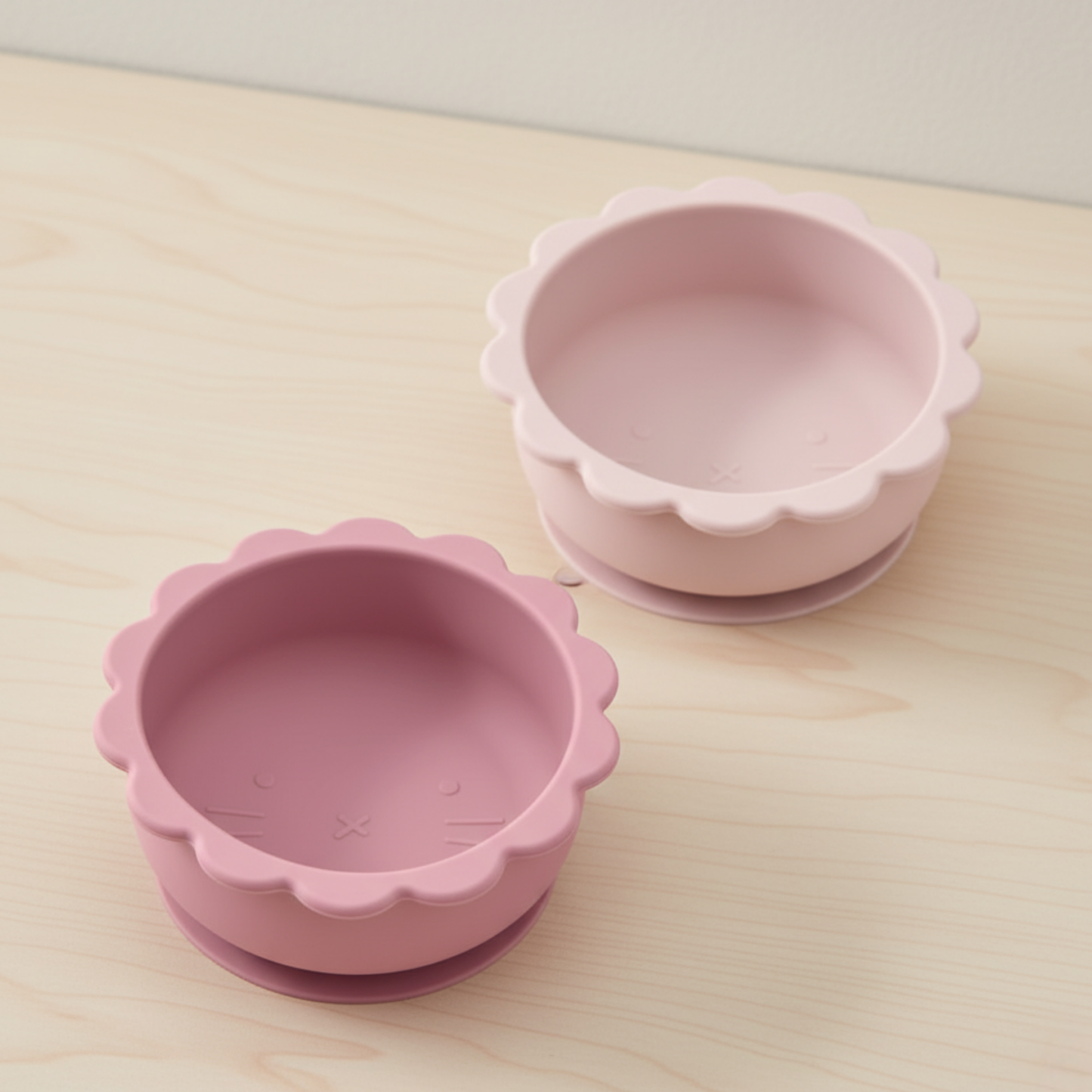 Lot de 2 Bols en Silicone à Ventouse