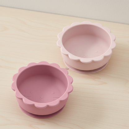 Lot de 2 Bols en Silicone à Ventouse