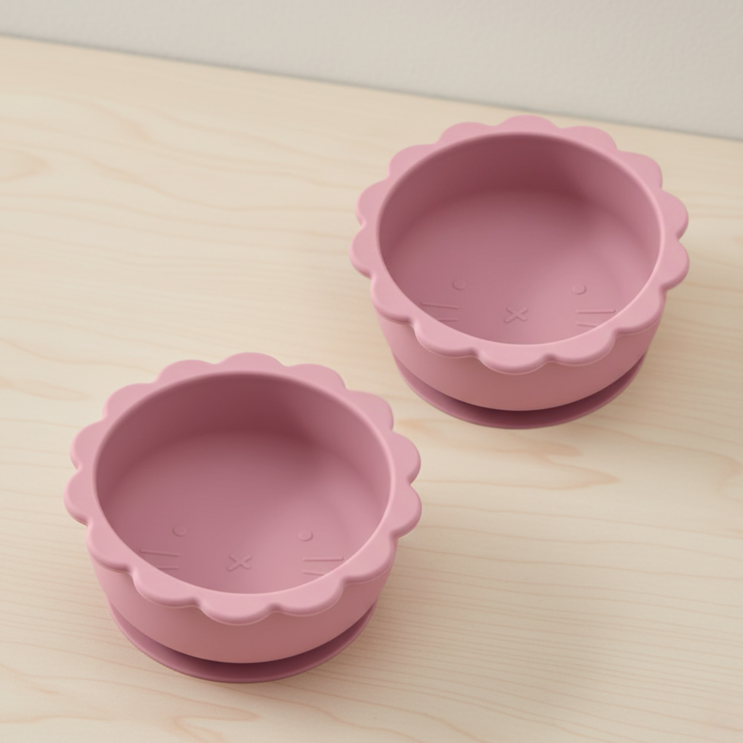 Lot de 2 Bols en Silicone à Ventouse